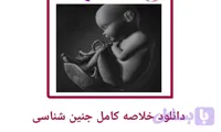 دانلود جزوه خلاصه کامل جنین شناسی