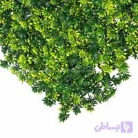 دیوار سبز نیلوفری