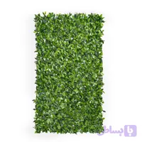 فنس برگی پرتقالی