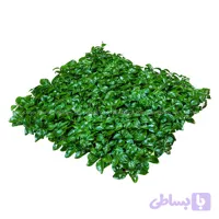 دیوار سبز پرتقالی