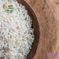 برنج سرلاشه فجر گرگان