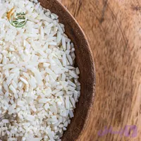 برنج سرلاشه کشت دوم اعلاء