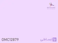 رنگ روغنی یاسمنی براق ترکیبی 1 کیلویی کد OMC12879