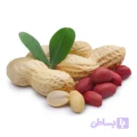 بذر بادام زمینی