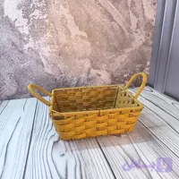 سبد میوه سانیل