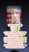دندان گرگ