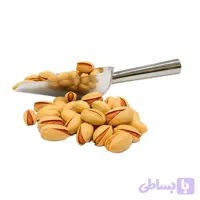 پسته اکبری شور انس 22