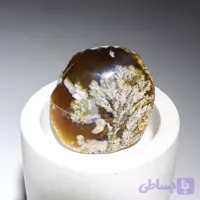 سنگ عقیق شجر هفت رنگ زمینه خرمایی