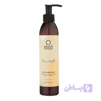 ماسک مو سالومه مدل Argan-Oil مناسب موهای خشک و آسیب دیده حجم 250 میلی لیتر