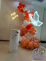 بادکنک آرایی پروانه نئونی