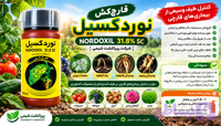 قارچ‌کش نوردکسیل 31.8% SC پیراکشت شیمی | نیم لیتری
