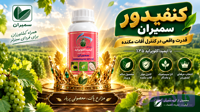 سم کنفیدور سمیران ایمیداکلوپراید ۳۵٪ | حشره‌کش سیستمیک
