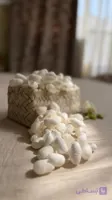 پیله ابریشم