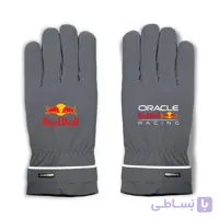 دستکش زمستانی مشکی ردبول



                    
                        Red Bull Racing