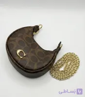 مینی بگ کوچ _ COACH