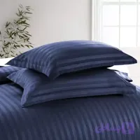 سرویس کاوری تشک زمینی هتلی