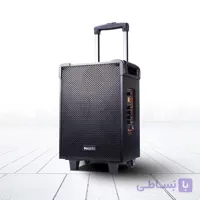 اسپیکر سایز بزرگ 12 اینچ یسیدو YESIDO YSW16 به همراه 2 میکروفون و ریموت
