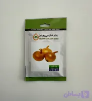 بذر پیاز طلایی