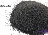 تخم شربتی ریز