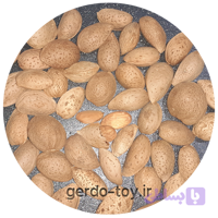بادام سنگی تویسرکان + تخفیف