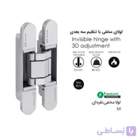 لولا مخفی M نقره ای IN.05.061 فانتونی A841