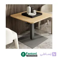 استند لیفت آپ تک پایه برقی سری B فانتونی T002