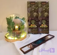 عود رین فارست (جنگل بارانی نابیلا)