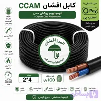 کابل برق البرز افشان سایز 2 در 4 (سطح مقطع 0.20)