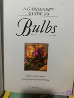 Bulbs زبان انگلیسی رحلی رنگی 1