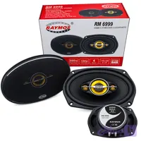 بلندگو ماشین RAYMOS مدل RM6999