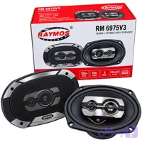 بلندگو ماشین RAYMOS مدل RM6975V3