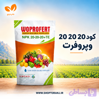 کود کامل سه بیست NPK هلندی کمبی فست 20-20-20 دو کیلویی