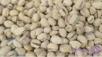 پسته کله قوچی تنوری