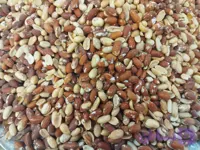 مغز بادام زمینی تنوری لوکس