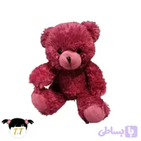 عروسک خرس کد0021
