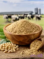 کنجاله سویا