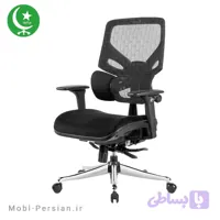 صندلی کارشناسی مدل T61 پرشین