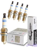 شمع بوش سیتروئن پایه کوتاه آلمانی FR7DC9