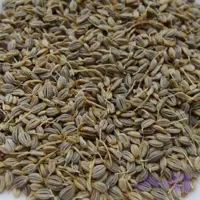 بذر جعفری (100 گرم)