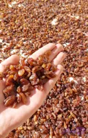 کشمش آفتابی درجه یک (کد IQJPX)