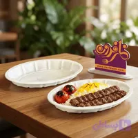 دیس یکبار مصرف پلاستیکی بزرگ