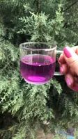 فنجان قهوه پیرکس weimei