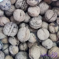 گردو بوانات مغز سفید و قهوه ای مخلوط پرچرب ( 900 گرم )