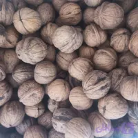 گردو سوزنی بوانات مغز سفید و قهوه ای و خورشتی مخلوط پرچرب (مغز گردو خیلی خیلی سخت خارج می‌شود ) ( 900 گرم )