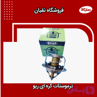 ترموستات کره ای ریو