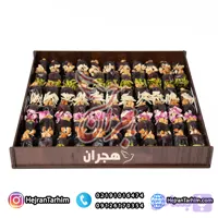دیس خرما آجیلی کد 71