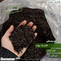 چای قلم 1 بهاره گیلان (شمال ایران)