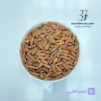 چلغوزه
