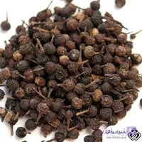 کبابه چینی 50گرمی