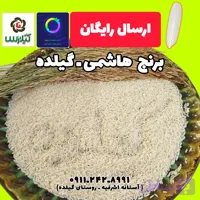 برنج هاشمی روستای گیلده آستانه اشرفیه 10 کیلو گرم (کد KMKGU)
